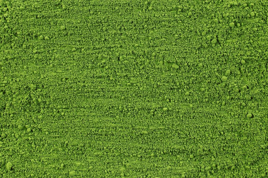 Tea fields in Uji, Kyoto, Japan